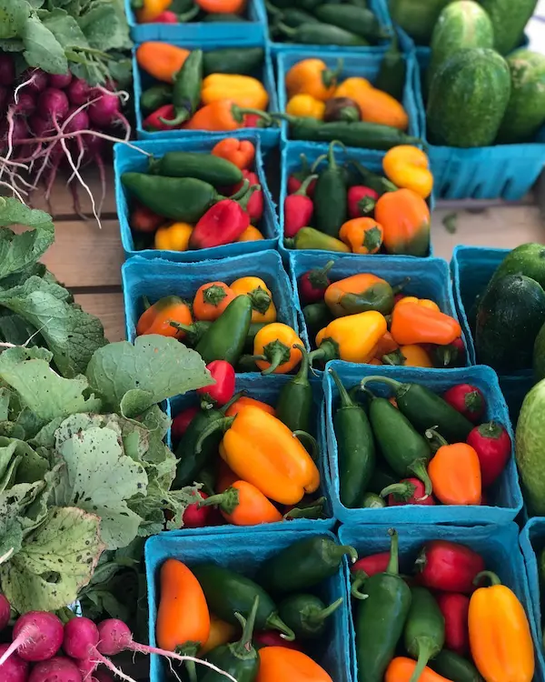 Farm to Food Bank