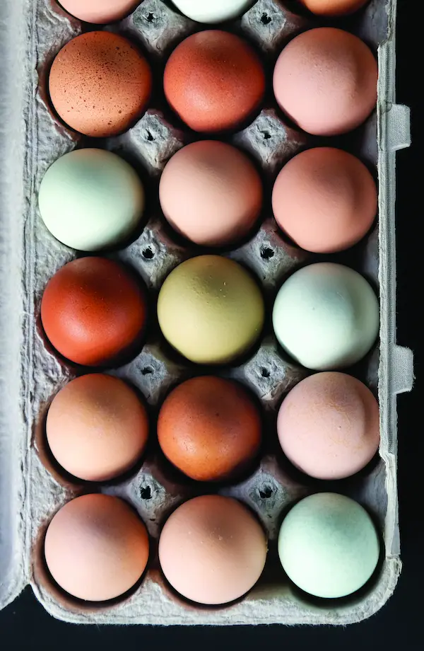 Eggs at the market